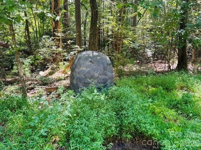 475 Old Little Mountain Road, Pisgah Forest, NC 28768