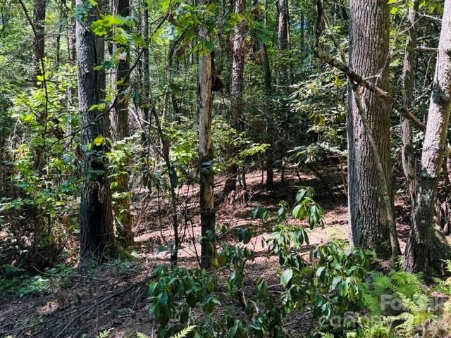 475 Old Little Mountain Road, Pisgah Forest, NC 28768