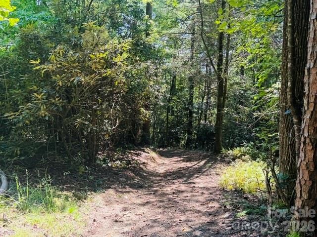 475 Old Little Mountain Road, Pisgah Forest, NC 28768
