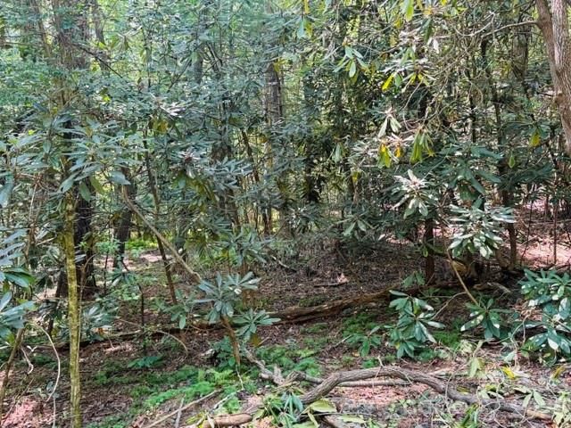 475 Old Little Mountain Road, Pisgah Forest, NC 28768
