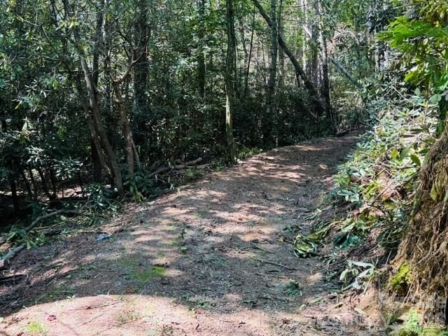 475 Old Little Mountain Road, Pisgah Forest, NC 28768