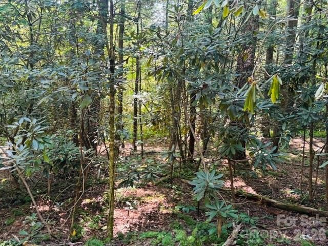 475 Old Little Mountain Road, Pisgah Forest, NC 28768
