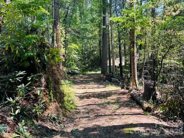 475 Old Little Mountain Road, Pisgah Forest, NC 28768