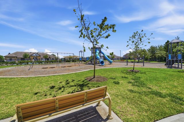 13207 Alcott Forest, Rosharon, TX 77583