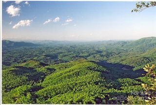 9999 High Cliffs Trail, Black Mountain, NC 28711