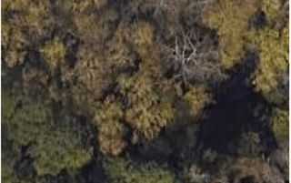 0 SETTLEMENT Road, Martinez, GA 30907