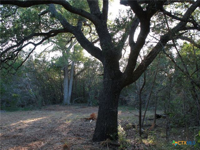249 Grande Street, Driftwood, TX 78619