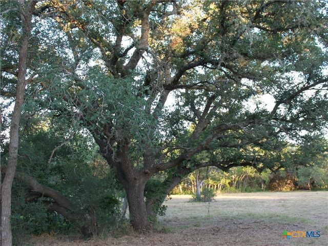 249 Grande Street, Driftwood, TX 78619