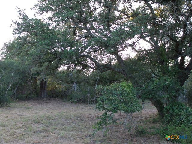 249 Grande Street, Driftwood, TX 78619