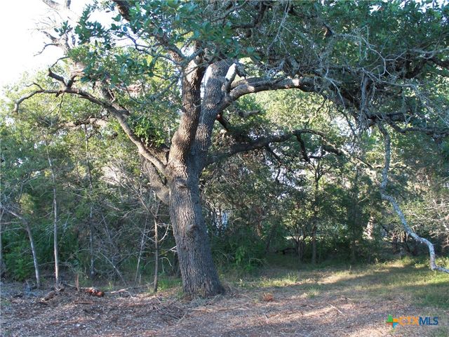 249 Grande Street, Driftwood, TX 78619