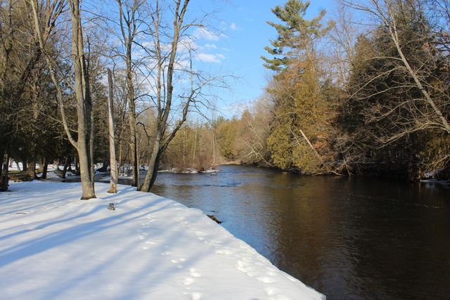 1132 N Meadowbrook Road, White Cloud, MI 49349