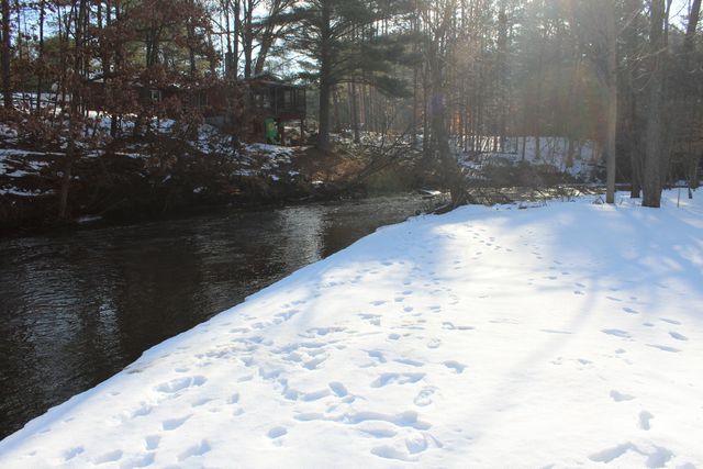 1132 N Meadowbrook Road, White Cloud, MI 49349