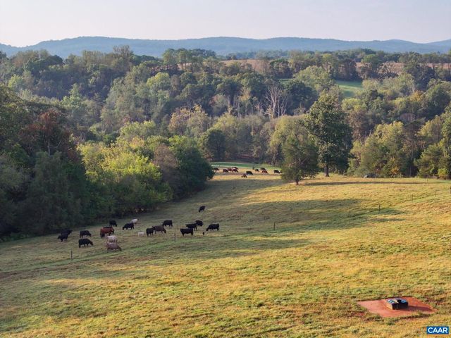 575 ARCADIAN WAY, Orange, VA 22960