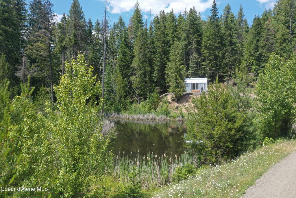 347 Ryan Lp, St. Maries, ID 83861