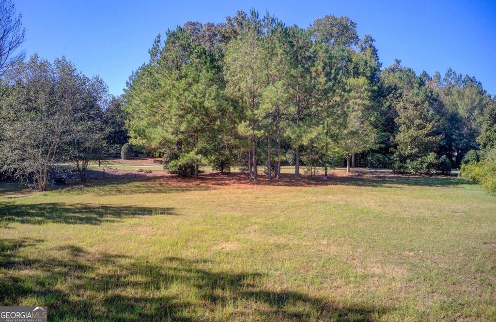 1597 Grassy Hill Court, Grayson, GA 30017