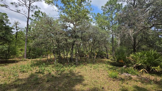 5719 W STOCKHOLM LANE, Dunnellon, FL 34433