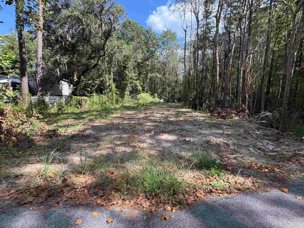 TBD Waccamaw Lake Dr., Conway, SC 29526 — photo 2