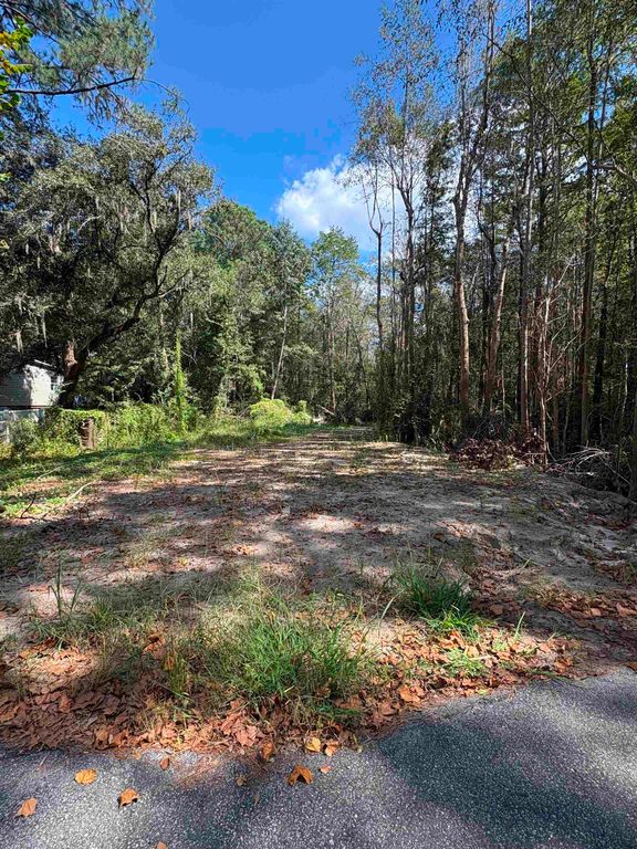 TBD Waccamaw Lake Dr., Conway, SC 29526 — photo 3