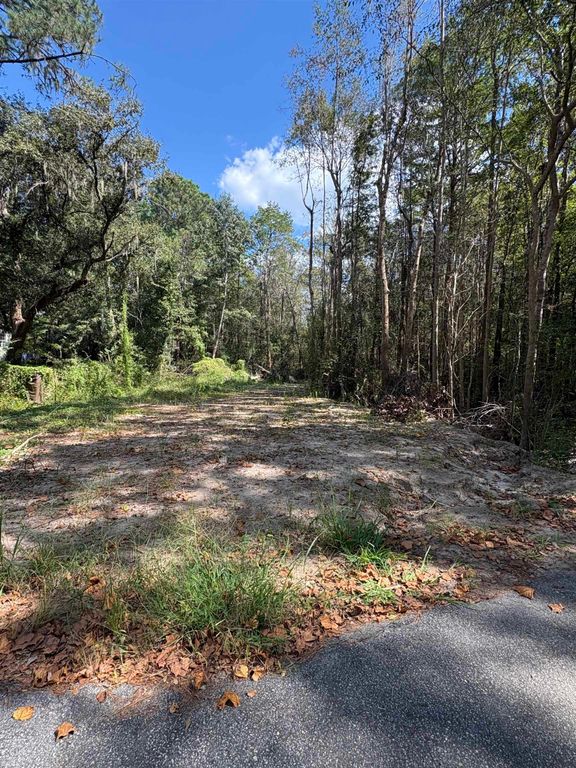 TBD Waccamaw Lake Dr., Conway, SC 29526 — photo 4