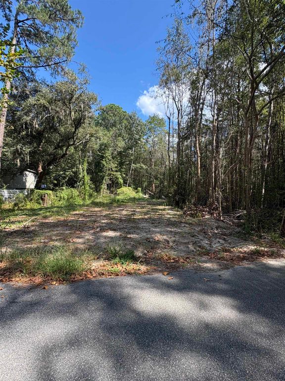 TBD Waccamaw Lake Dr., Conway, SC 29526 — photo 5