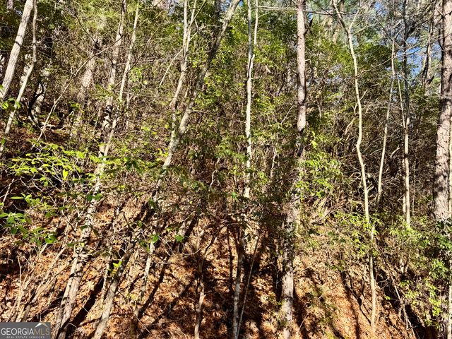 0 Mule Branch Road, Helen, GA 30545