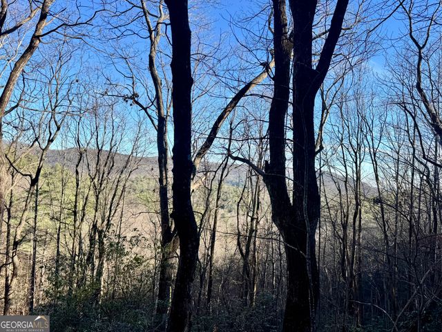0 Mule Branch Road, Helen, GA 30545
