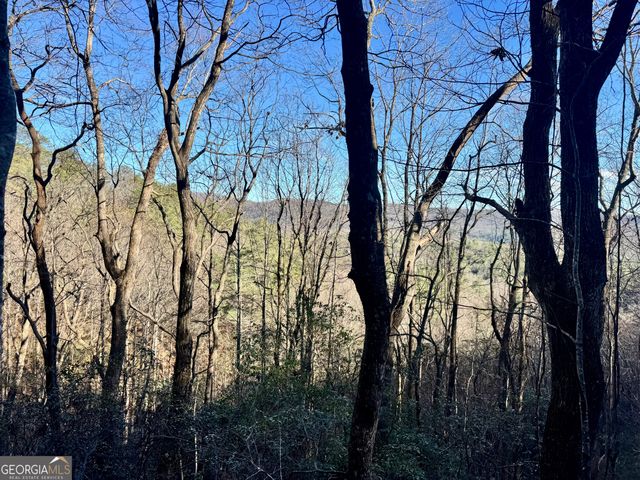 0 Mule Branch Road, Helen, GA 30545