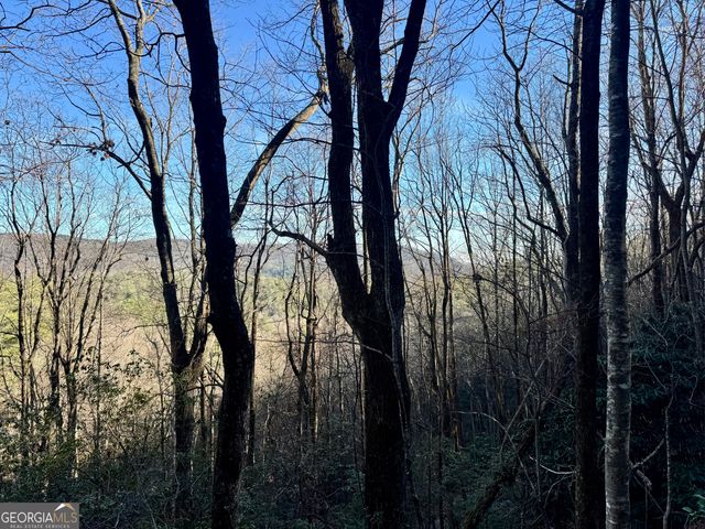 0 Mule Branch Road, Helen, GA 30545