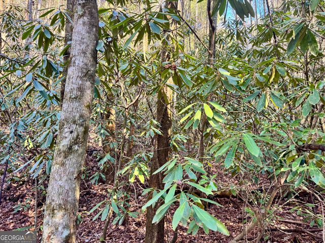 0 Mule Branch Road, Helen, GA 30545