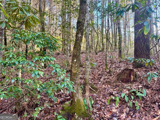 0 Mule Branch Road, Helen, GA 30545