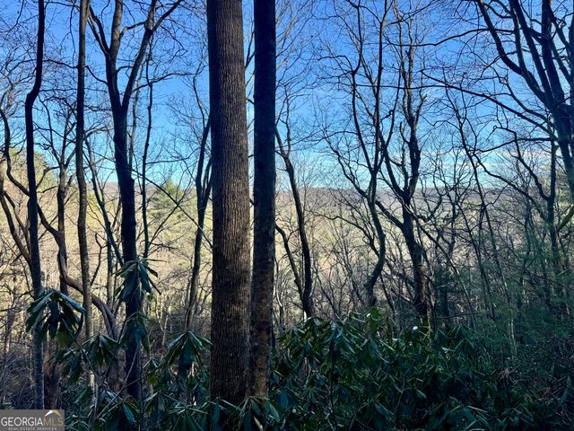 0 Mule Branch Road, Helen, GA 30545