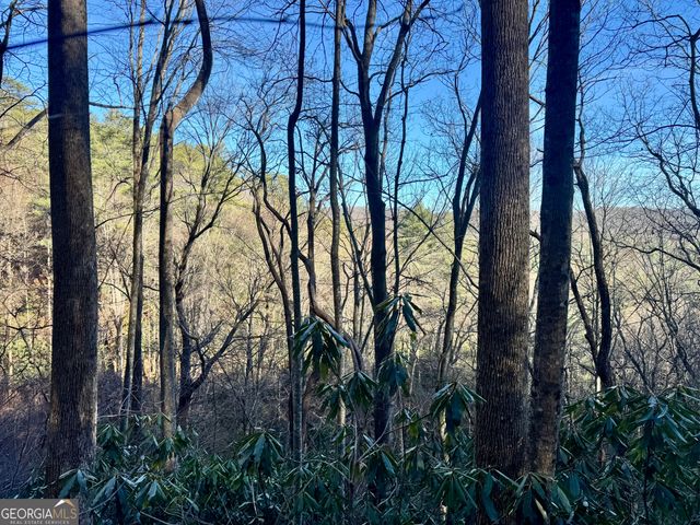 0 Mule Branch Road, Helen, GA 30545