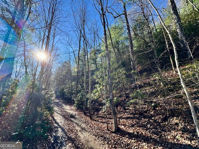 0 Mule Branch Road, Helen, GA 30545