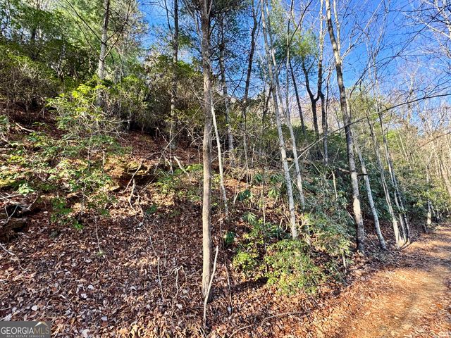 0 Mule Branch Road, Helen, GA 30545