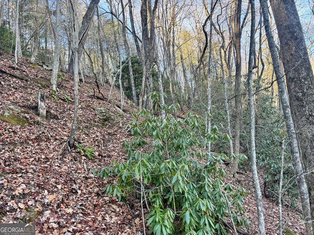 0 Mule Branch Road, Helen, GA 30545