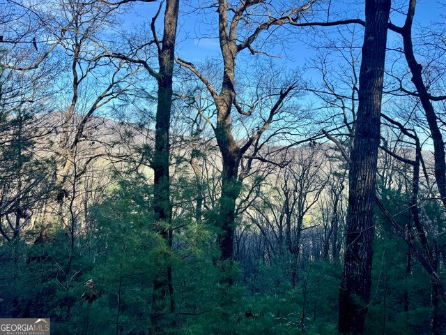 0 Mule Branch Road, Helen, GA 30545