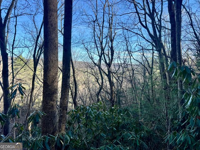 0 Mule Branch Road, Helen, GA 30545