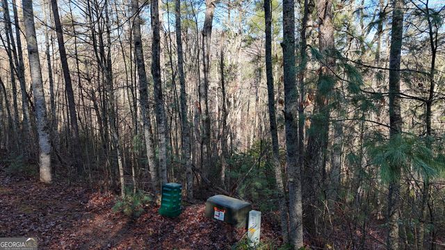 LOT 10 Gold Ditch Road, Cleveland, GA 30528