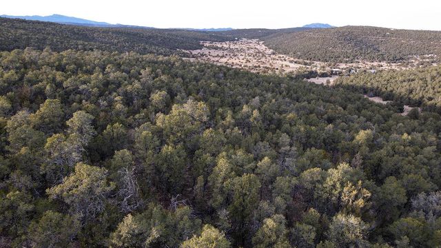 166 McComb Road, Edgewood, NM 87015