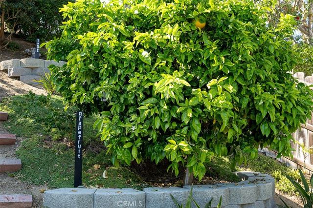 1807 Valencia, Carlsbad, CA 92008