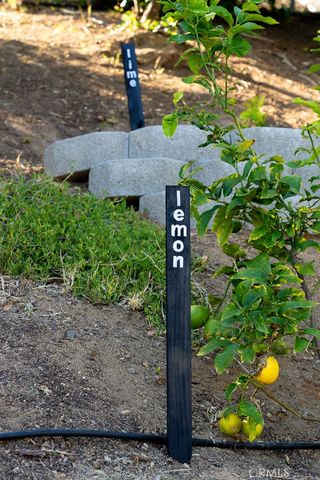 1807 Valencia, Carlsbad, CA 92008