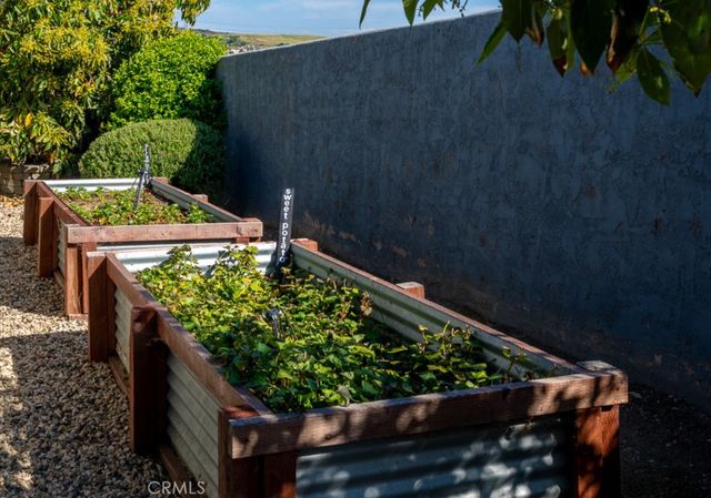 1807 Valencia, Carlsbad, CA 92008