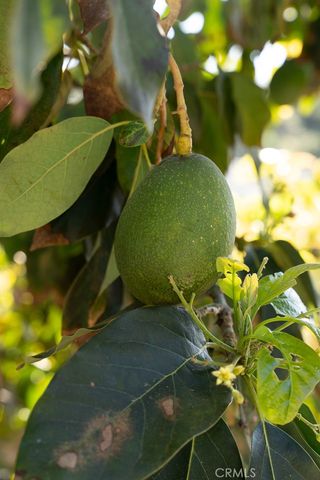 1807 Valencia, Carlsbad, CA 92008