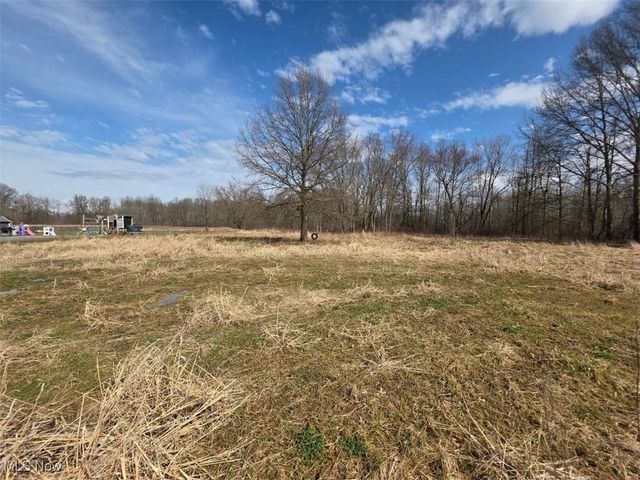 3366 Eagle Creek Road, Leavittsburg, OH 44430