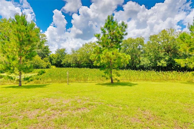 7031 MOSS LEDGE, Land O Lakes, FL 34637