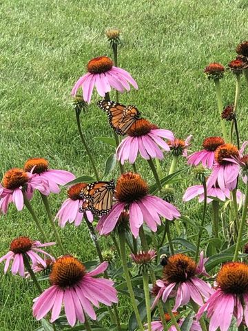 N60W27257 Trappers RUN, Sussex, WI 53089