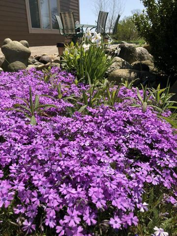 N60W27257 Trappers RUN, Sussex, WI 53089