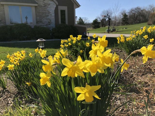 N60W27257 Trappers RUN, Sussex, WI 53089