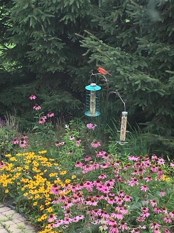 N60W27257 Trappers RUN, Sussex, WI 53089