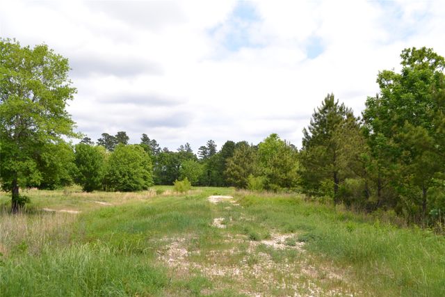 TBD S HWY 69, Alba, TX 75410
